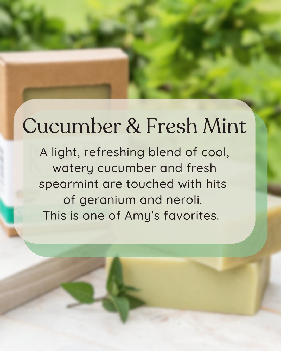cucumber and fresh mint soap outdoor pictures with scent description over the picture