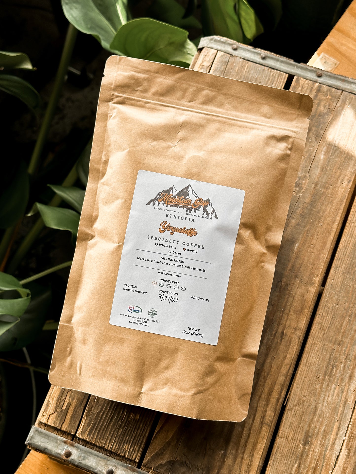 Mountain Gap Coffee