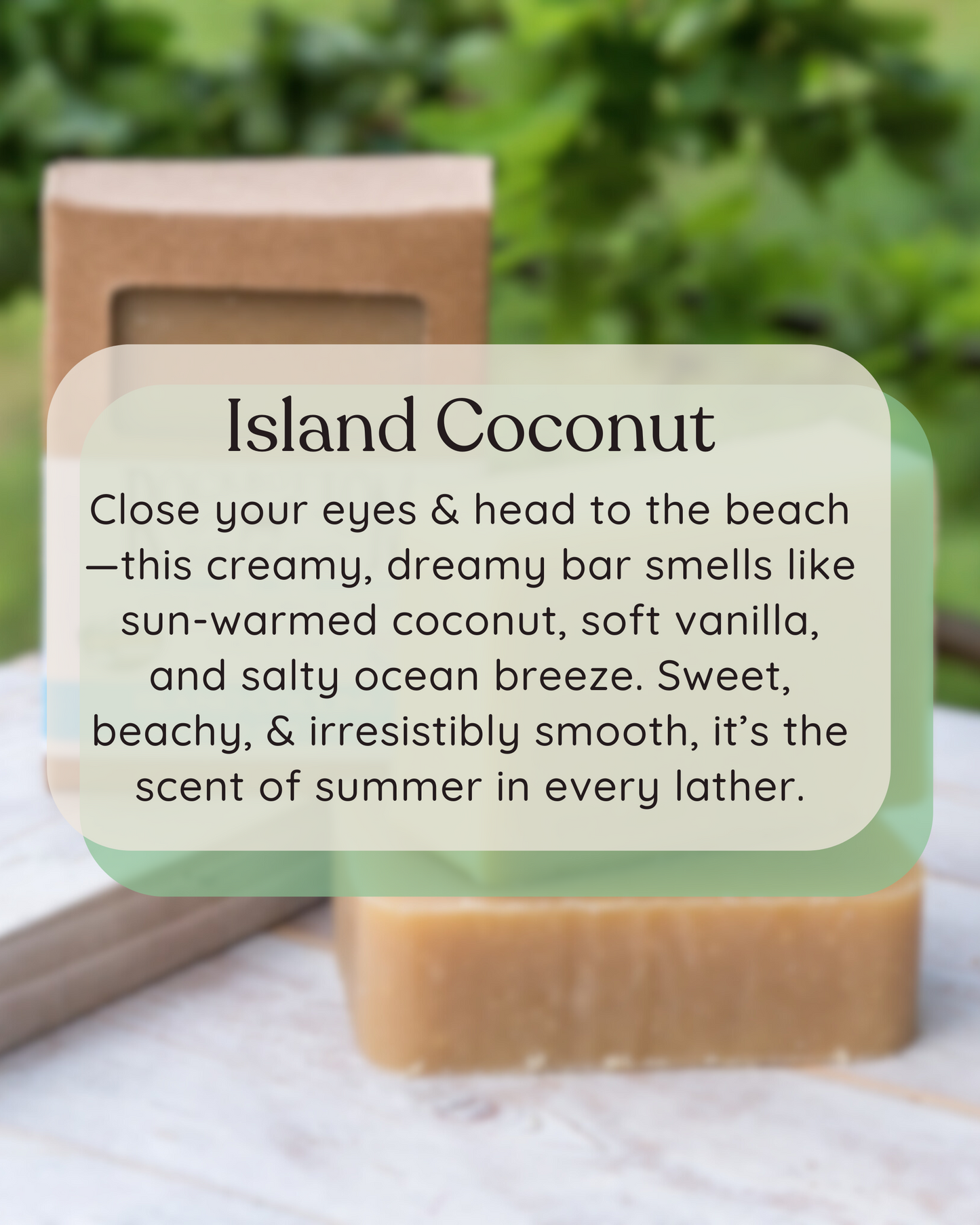island coconut goat milk soap outdoor photo with scent description over laying 