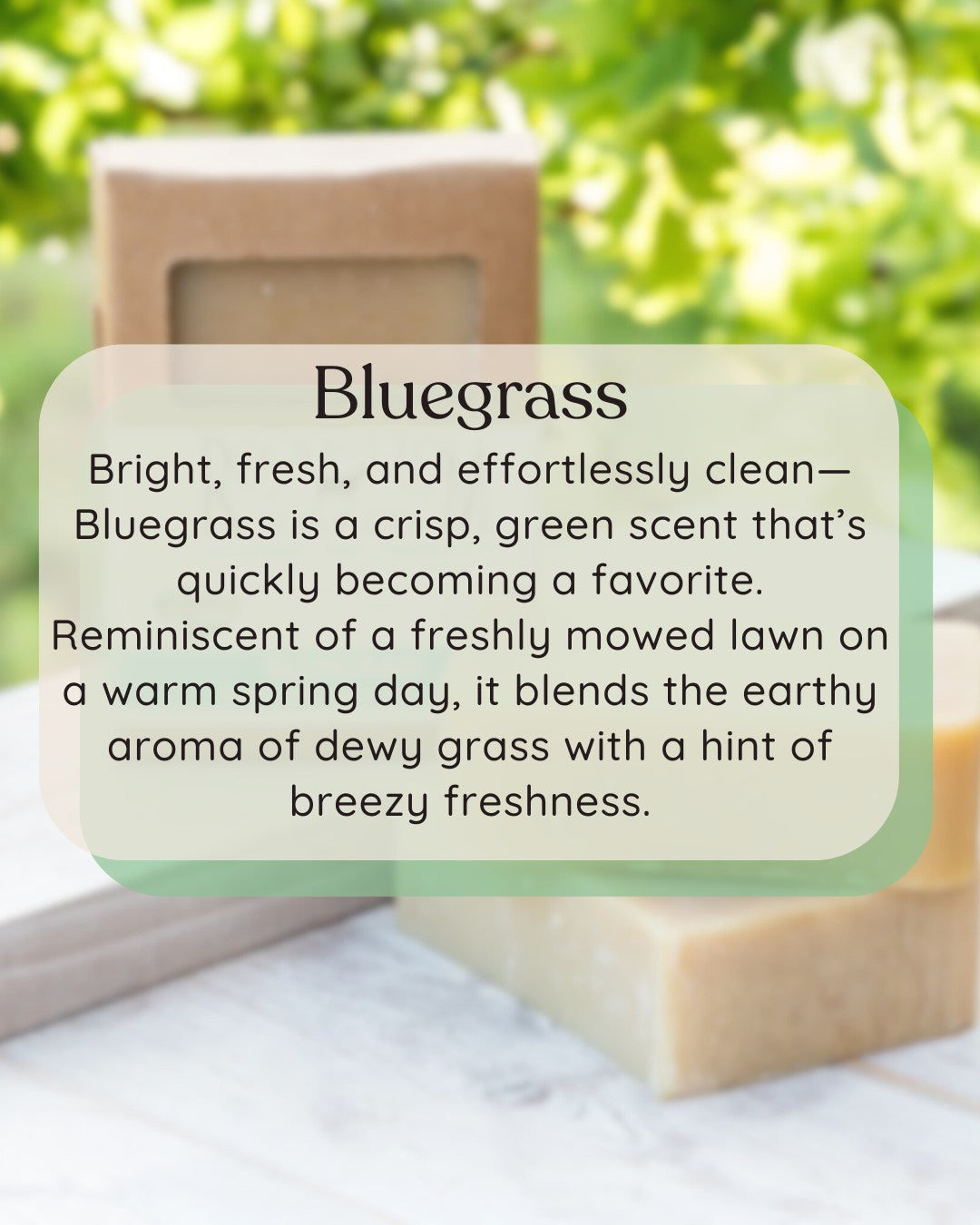 Bluegrass Goat Milk Soap-One Bar