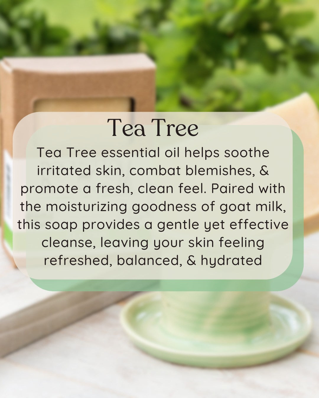 Activated Charcoal Soap with Tea Tree Essential Oil