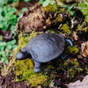 Cast Iron Turtle Key Box