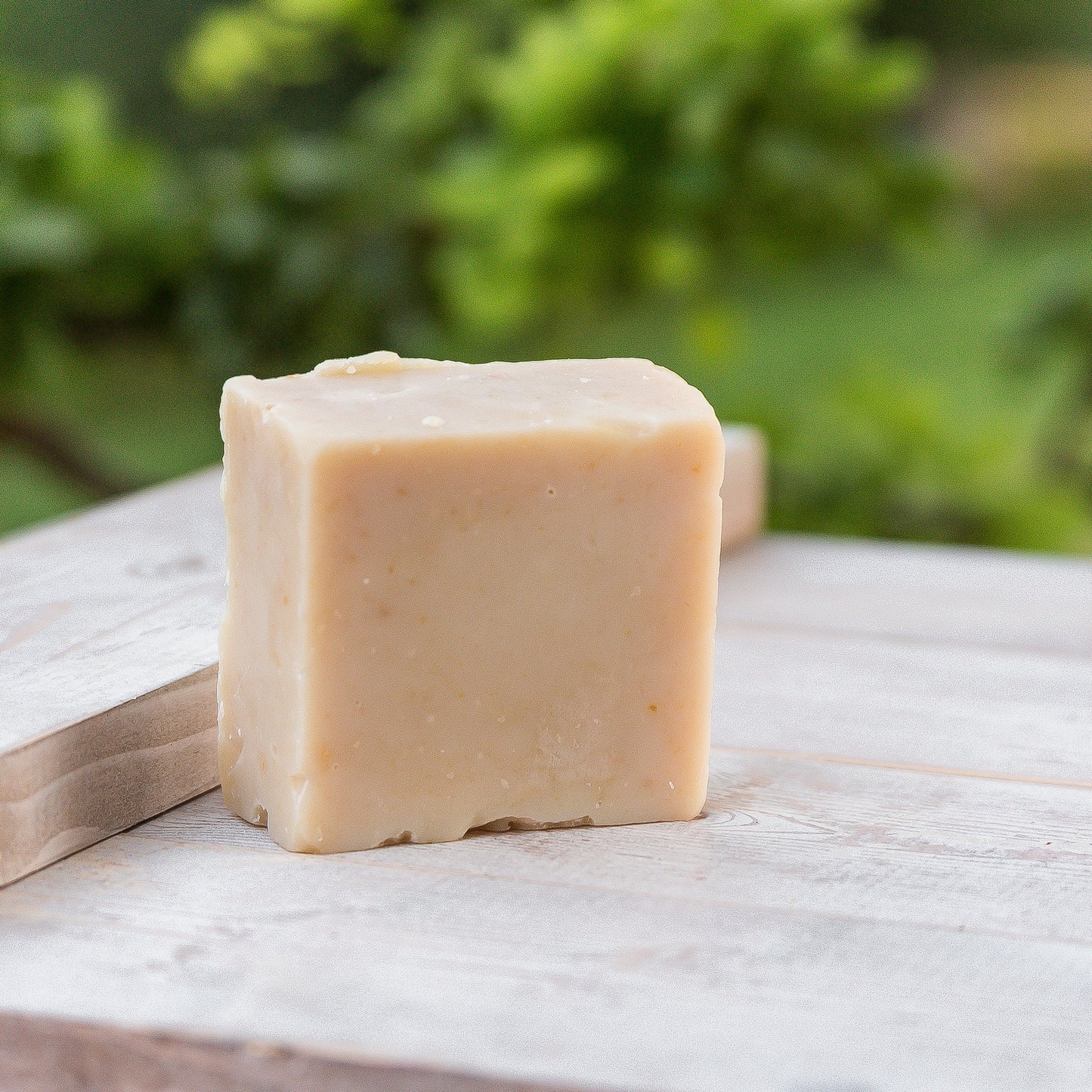 Shampoo Goat Milk Soap